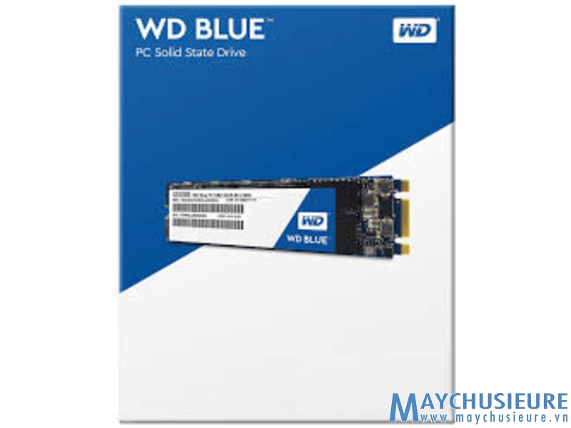 WD BLUE 1TB SATA III 6Gb/s ( M.2 2280) Internal Solid State Drive (SSD)