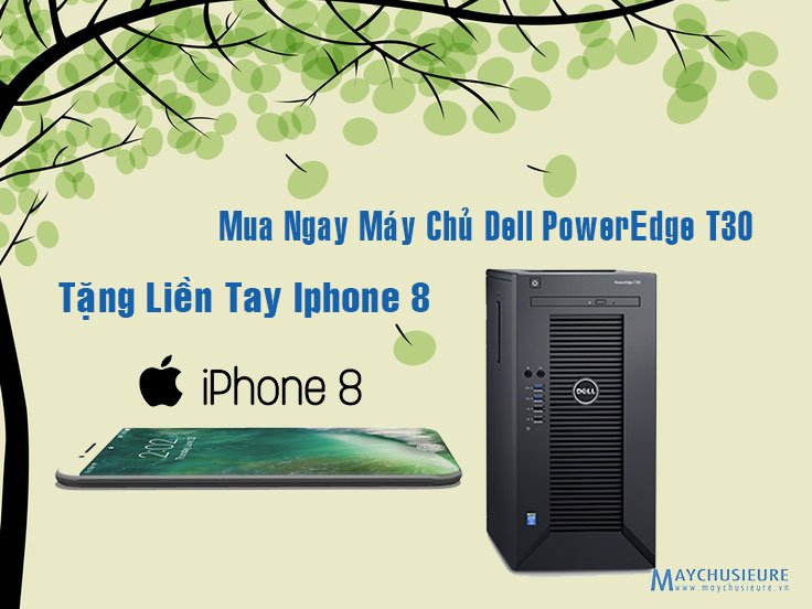 Mua Ngay Máy Chủ Dell PowerEdge T30 hôm nay - Tặng liền tay Phone 8